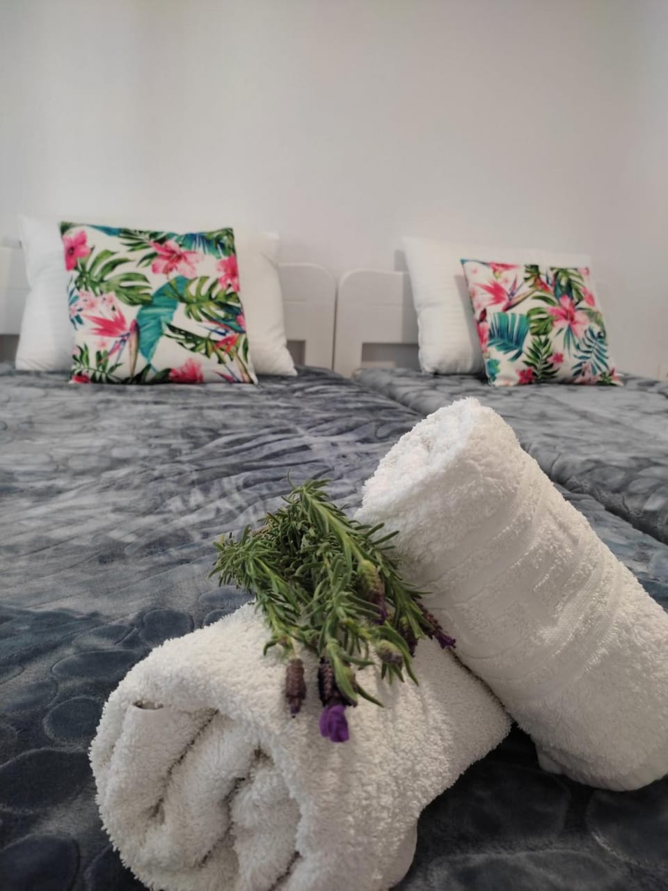 Pefkari Bay House House in Thasos