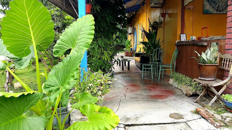Garden view