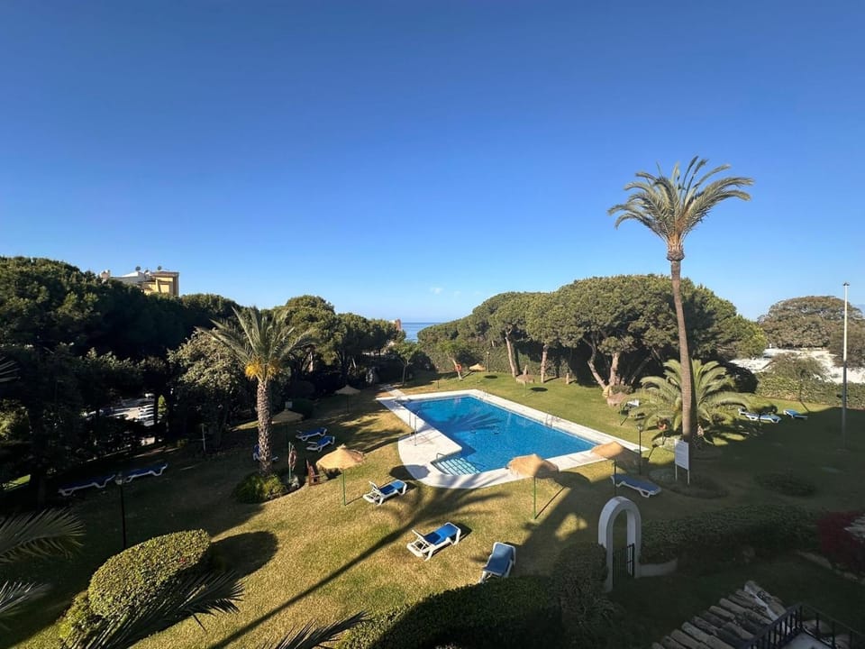 Spring, Day, Natural landscape, Garden, Garden view, Pool view, Swimming pool, sunbed