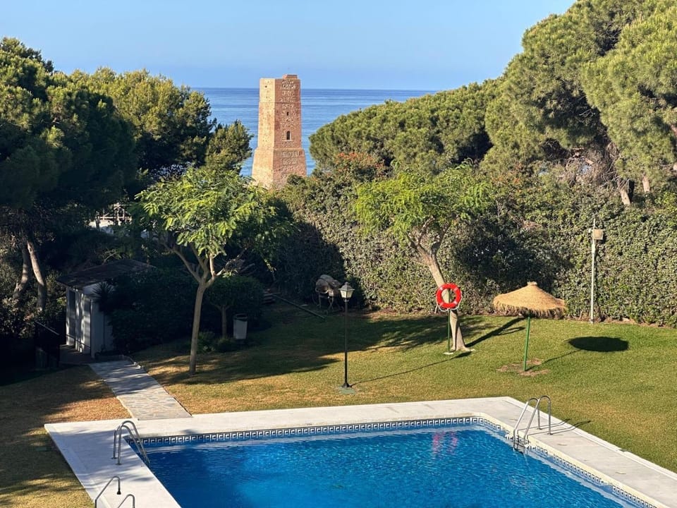 Day, Natural landscape, Garden, Garden view, Pool view, Swimming pool