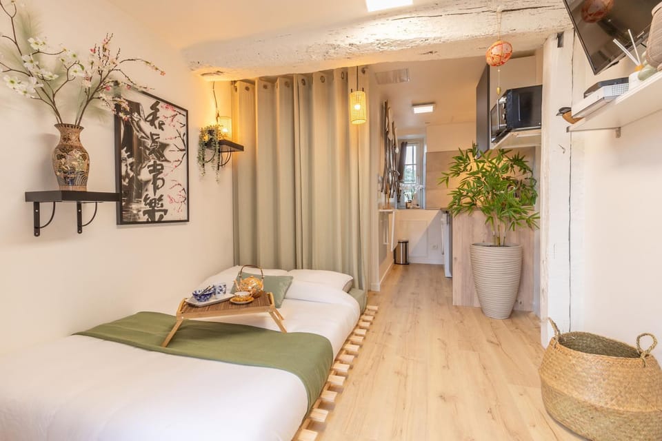 Au Soleil Levant - Havre Zen à Orléans Apartment in Orléans