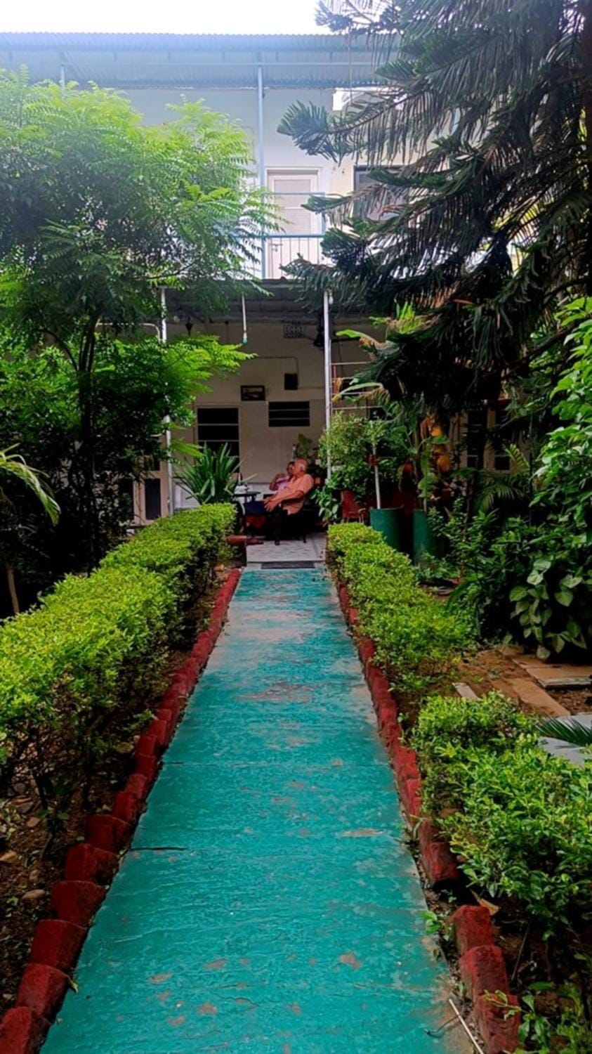 Property building, Day, Garden