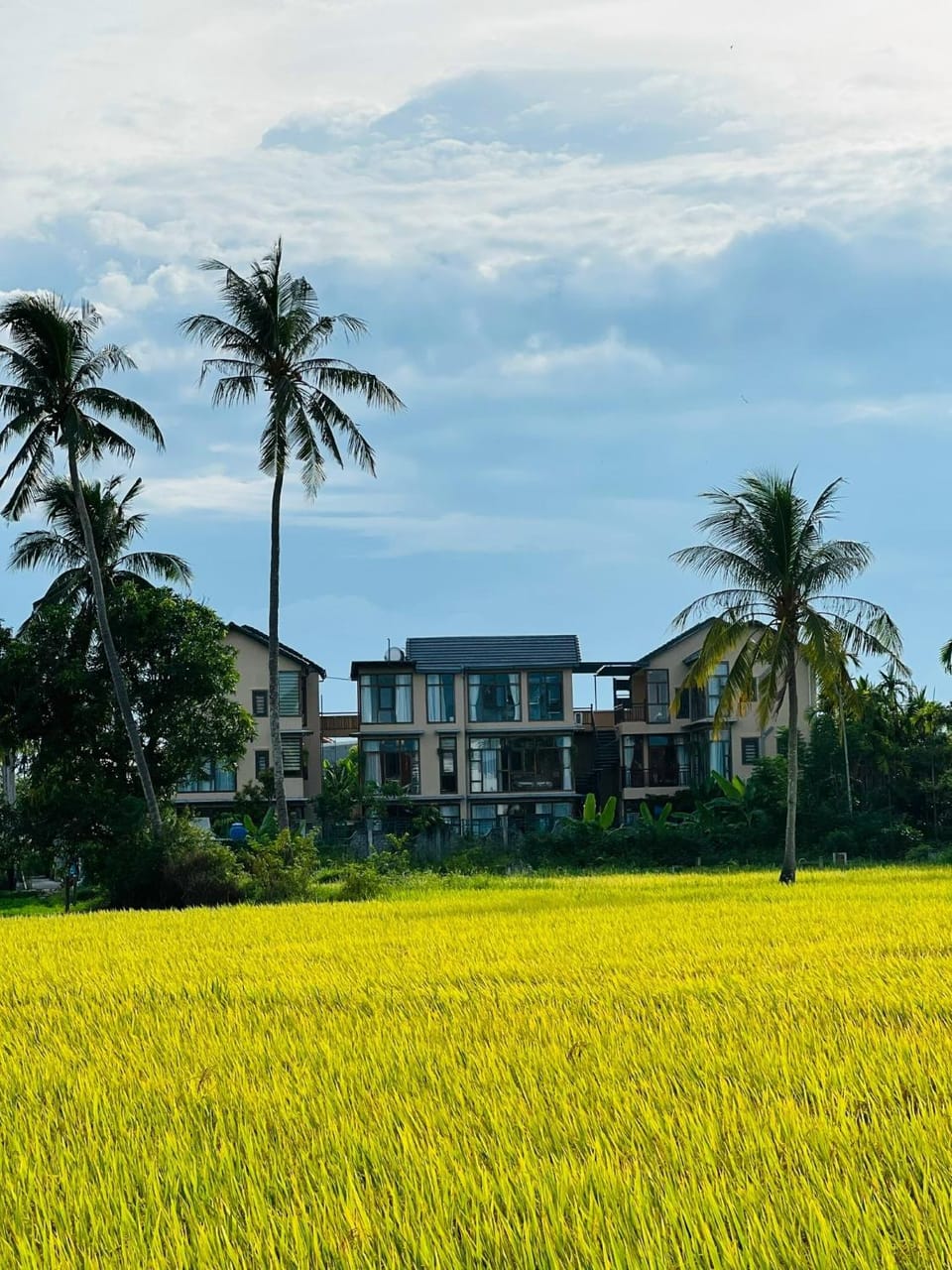 Laluka House Nature lodge in Hoi An