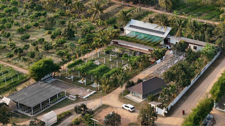 Property building, Spring, Day, Neighbourhood, Natural landscape, Bird's eye view, Garden, Garden view, Street view