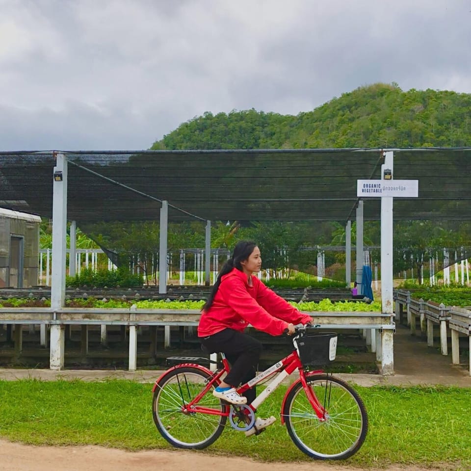 Spring, Day, People, Natural landscape, Cycling, Guests, group of guests