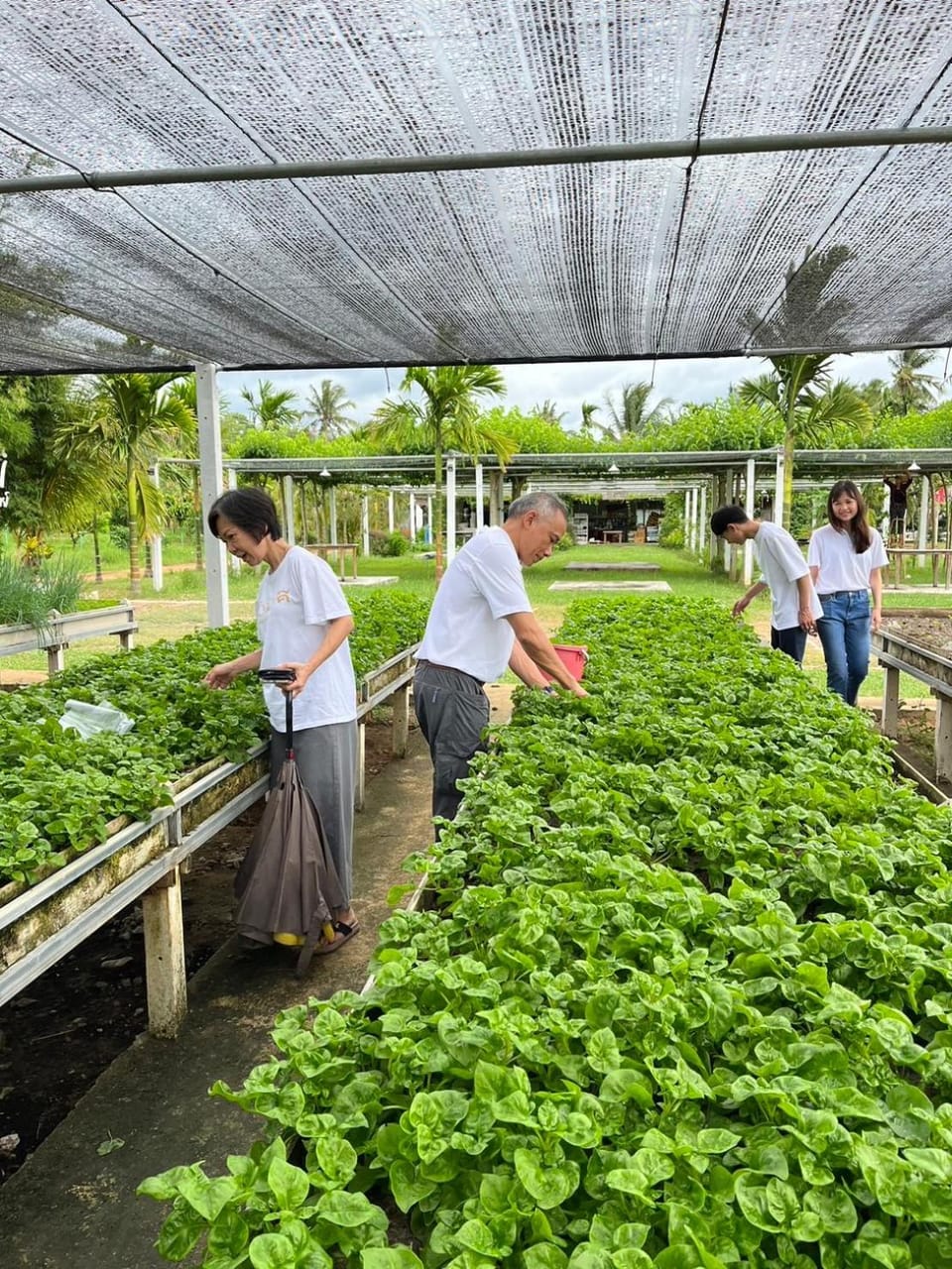 Spring, Day, People, Garden, Garden view, group of guests