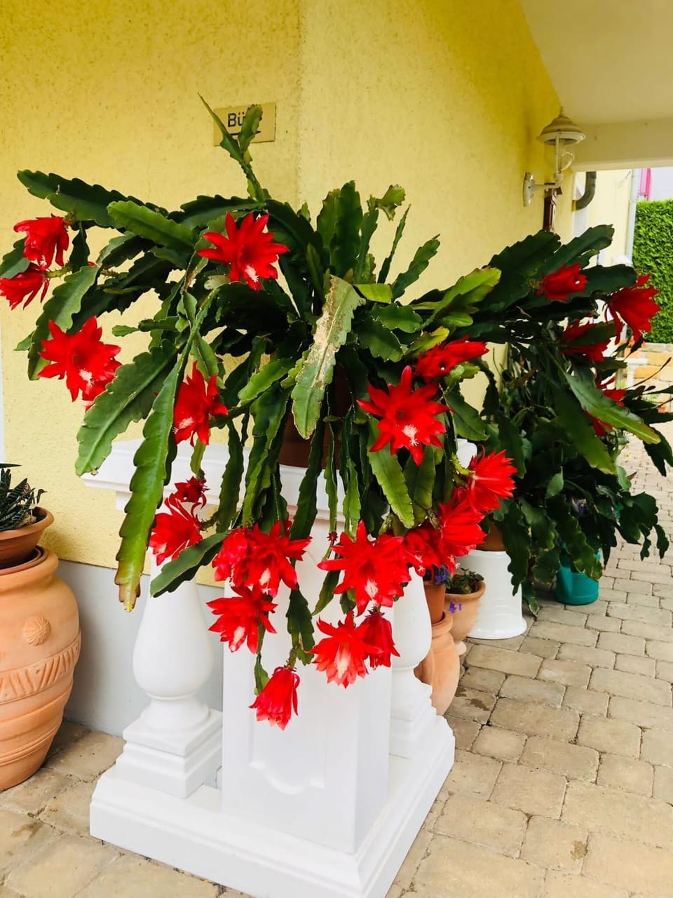 Ferienwohnung mit Terrasse, Garten Apartment in Gotha