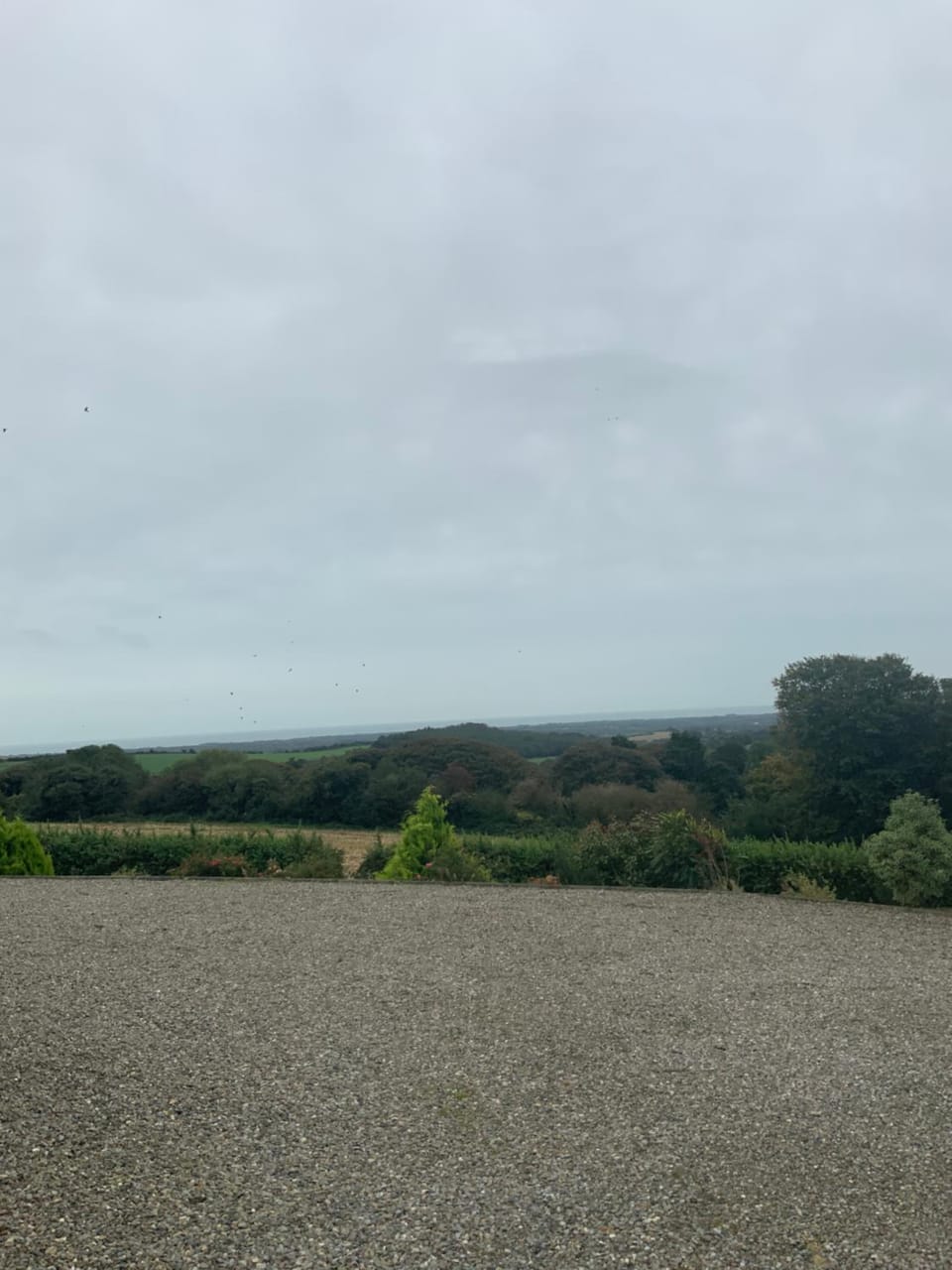 Natural landscape, Garden