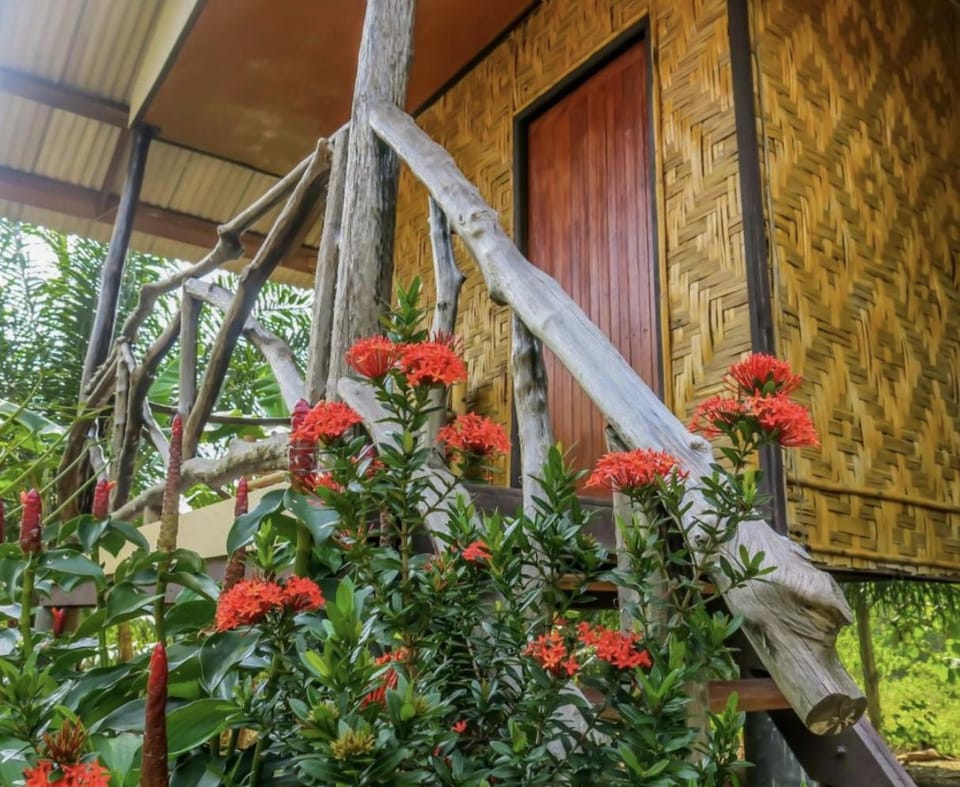 Spring, Day, Garden, View (from property/room), Balcony/Terrace, Garden view