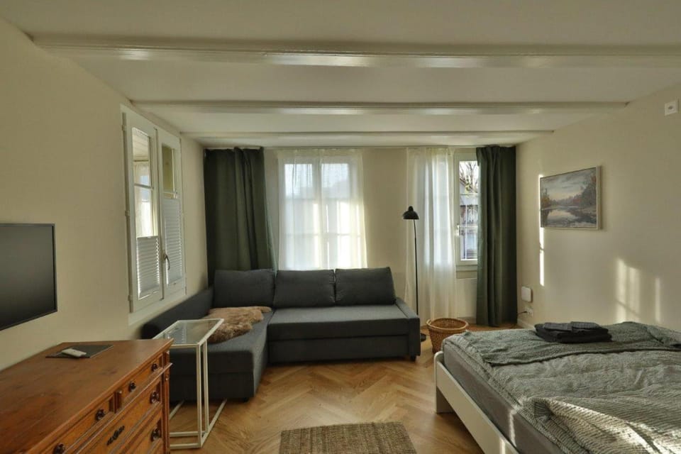 Union Apartments Bern-Belp Apartment in Canton of Bern (Region)