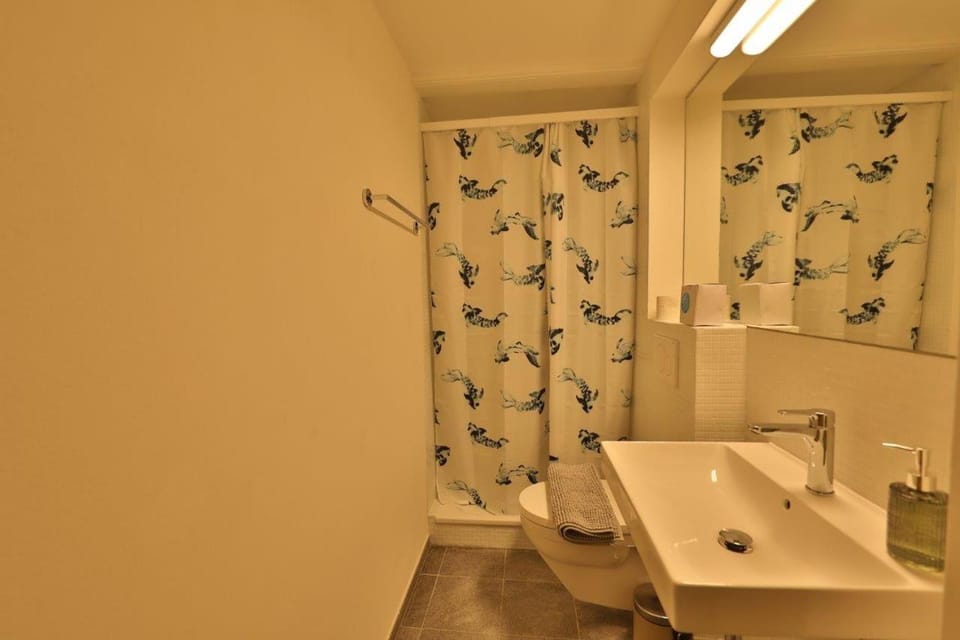 Union Apartments Bern-Belp Apartment in Canton of Bern (Region)