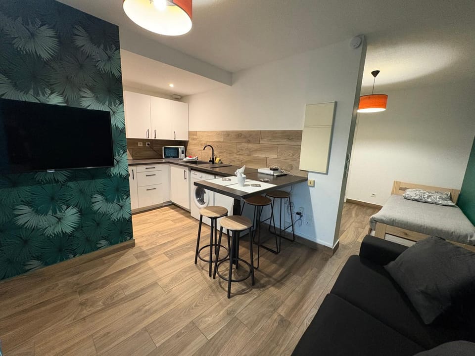 Havre de paix Climatisé Parking T2 Apartment in Lourdes