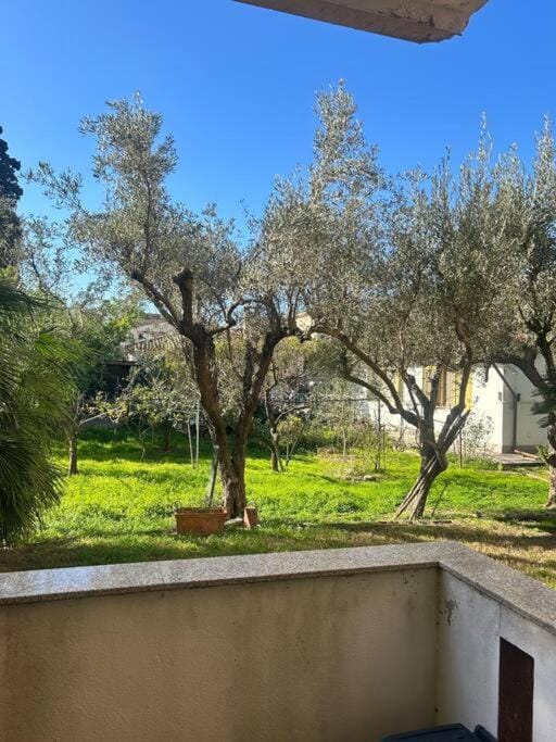 Natural landscape, Garden, Garden view