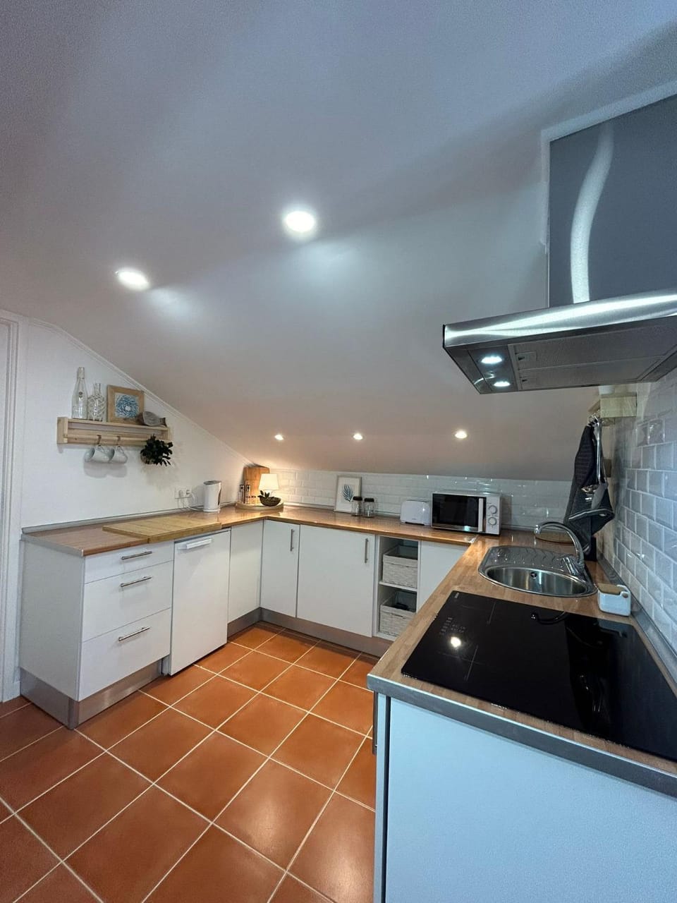 Kitchen or kitchenette, dishwasher, minibar, stove