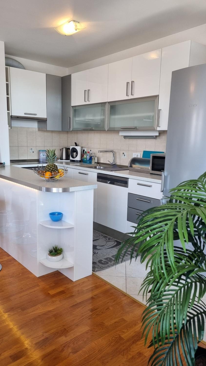 Kitchen or kitchenette, dishwasher, minibar, pet friendly, stove