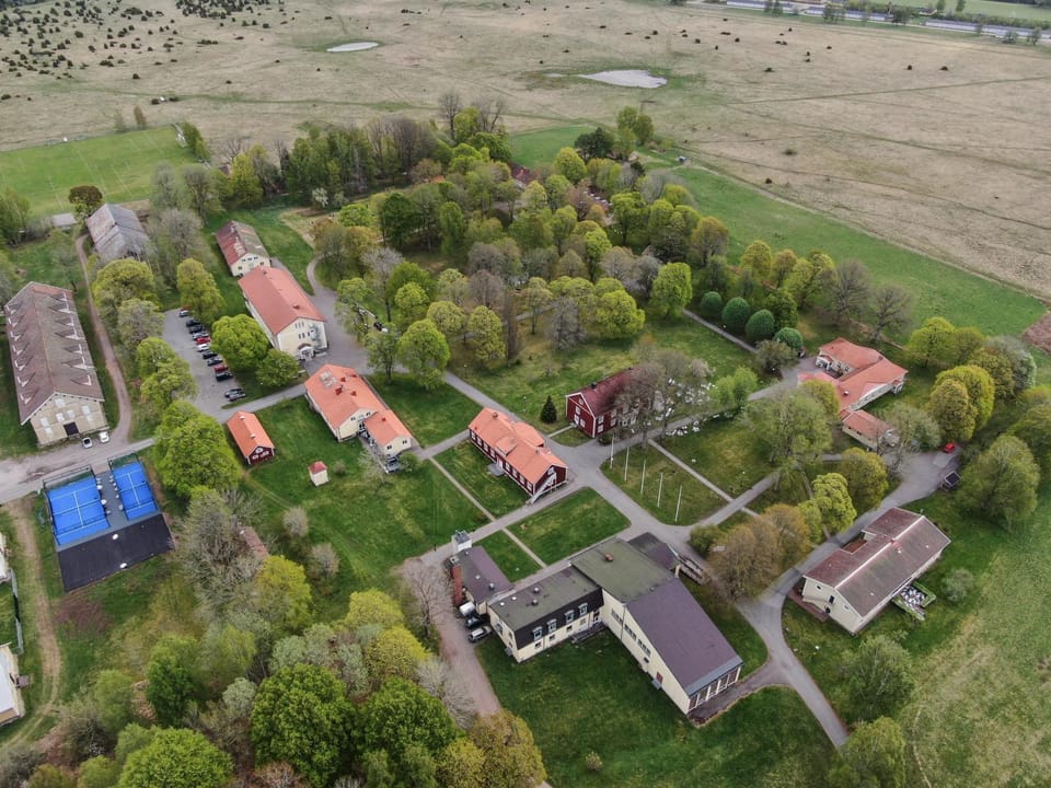 Bird's eye view, Garden