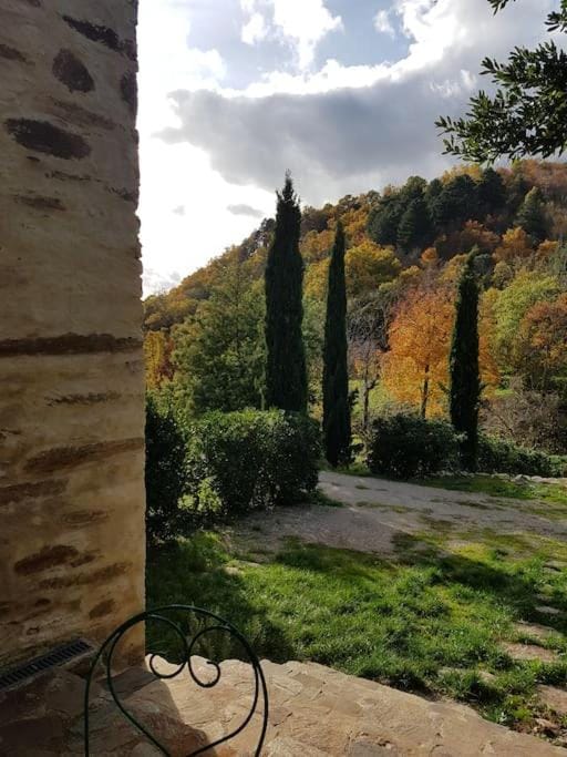 LE JARDIN DEL SUD House in Occitanie