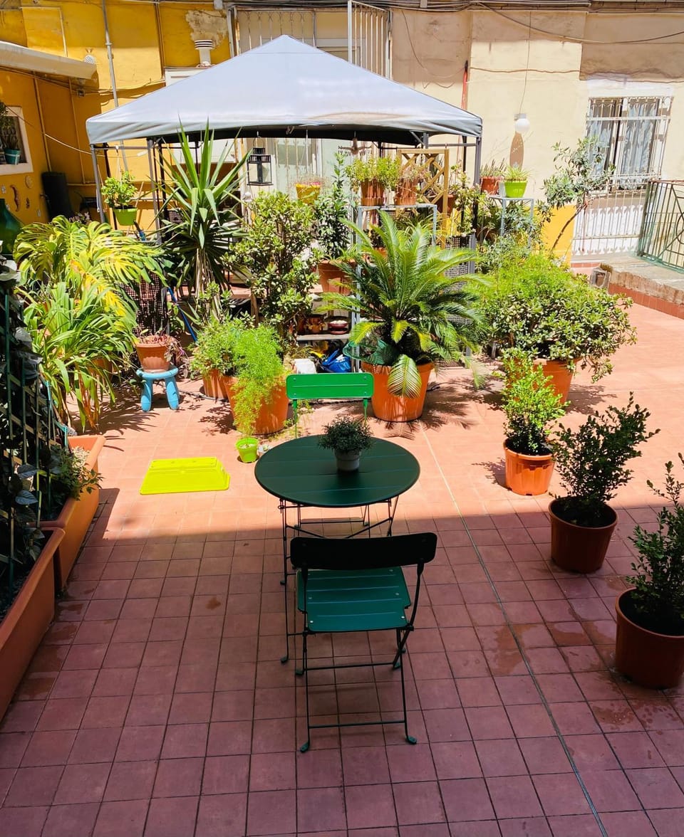 Balcony/Terrace, Garden view