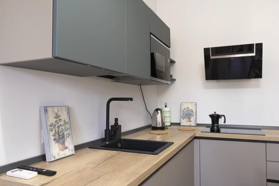 Kitchen or kitchenette, minibar, oven, pet friendly, stove
