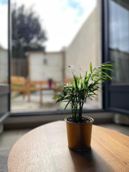 Studio Cosy Fleur de Lys Apartment in Versailles