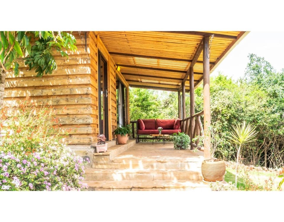 Property building, Patio, Spring, Day, Garden, View (from property/room), Balcony/Terrace, Garden view