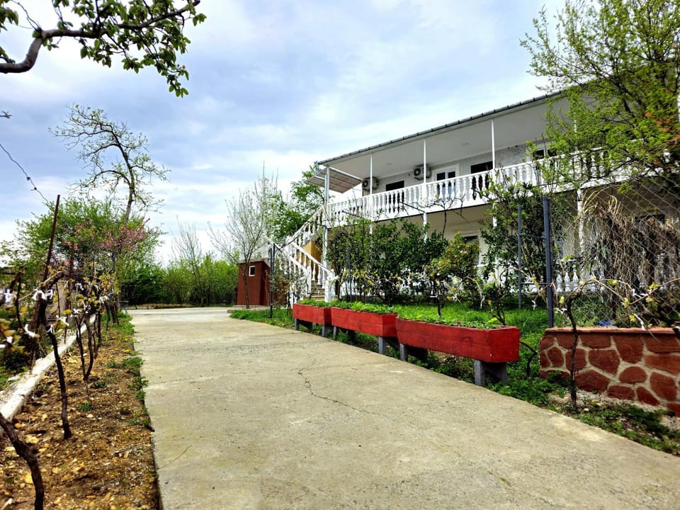 Property building, Day, Natural landscape, Garden, Garden view, Quiet street view