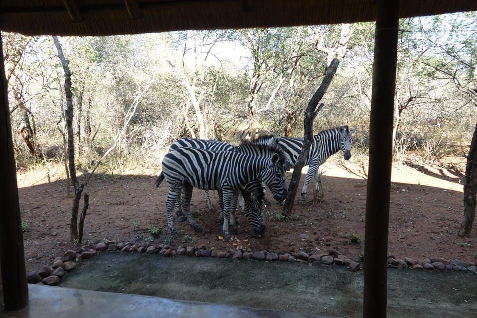 Marty's Rest Apartment in South Africa
