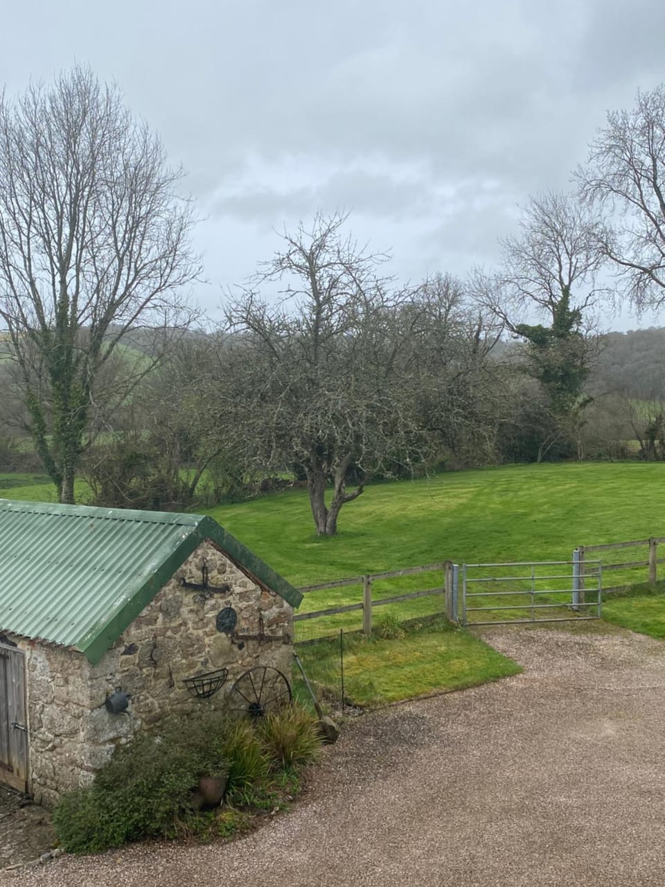 Garden view
