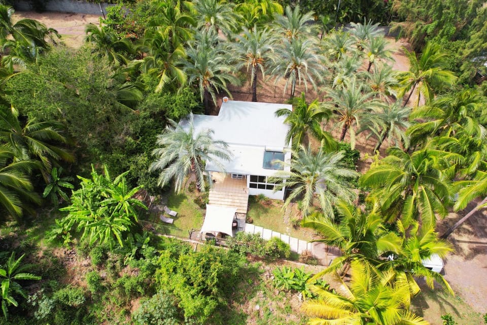 Property building, Natural landscape, Bird's eye view, Garden, Garden view