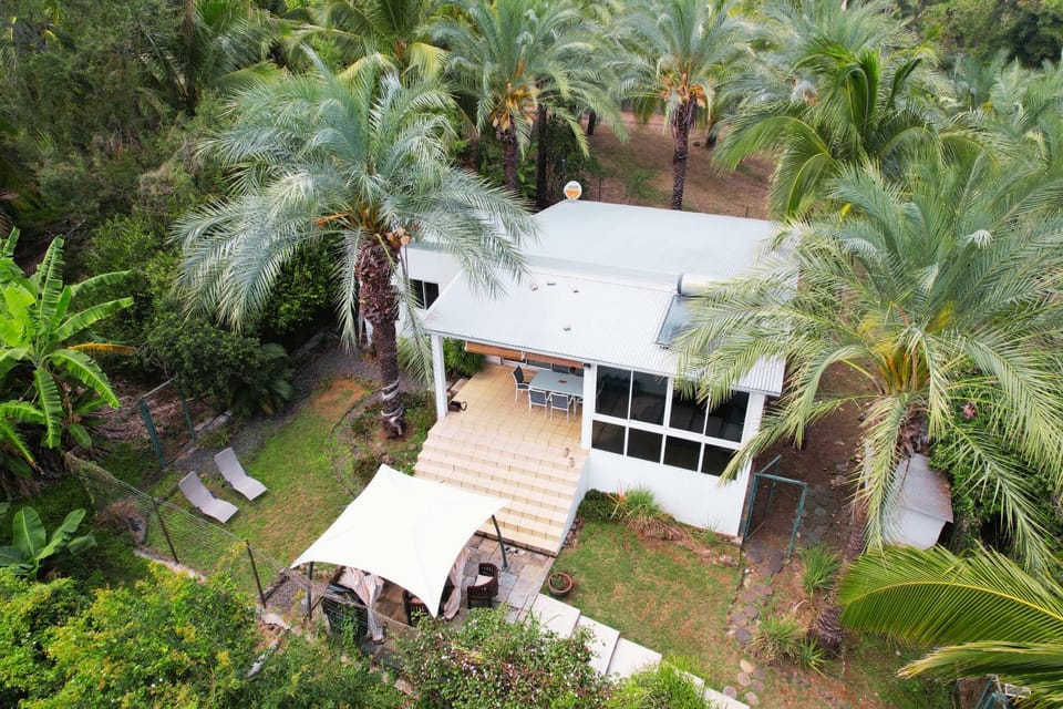 Property building, Natural landscape, Bird's eye view, Garden, Garden view