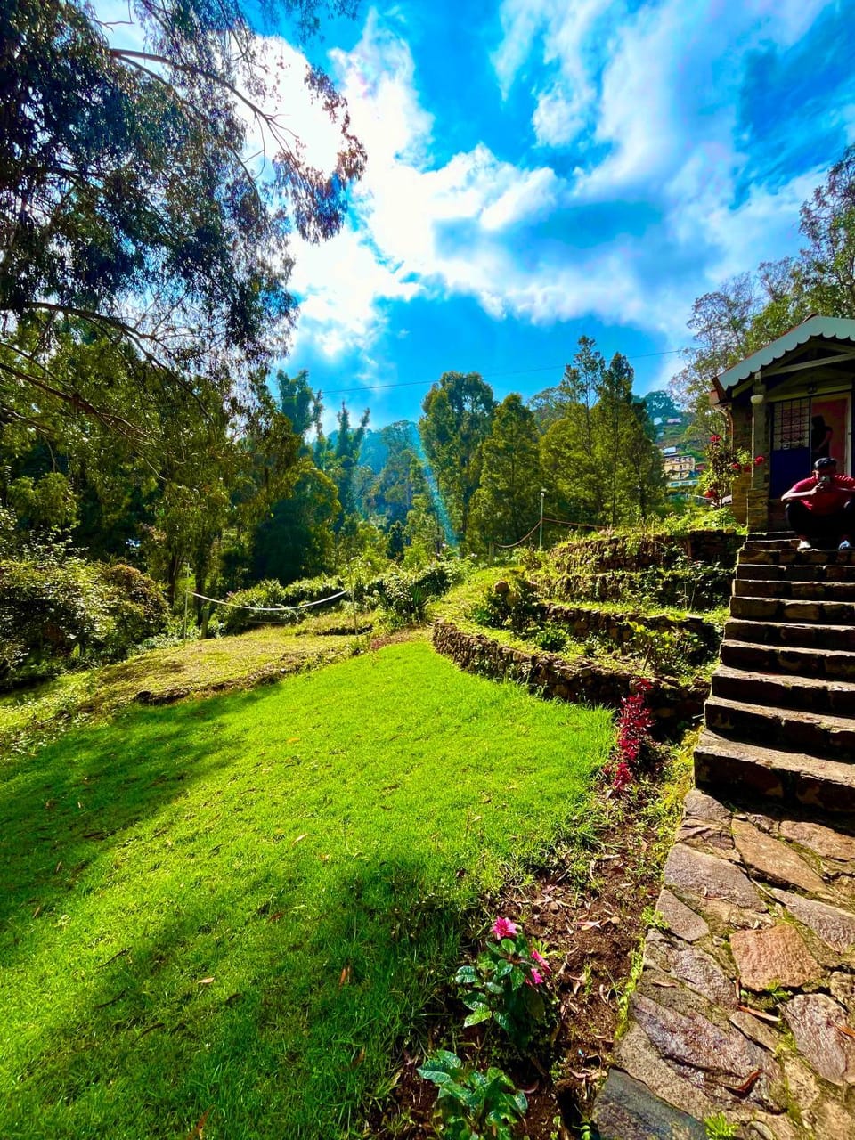 Garden, Garden view, Garden view