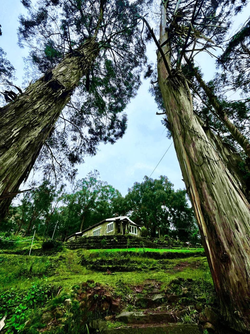 Natural landscape, Garden
