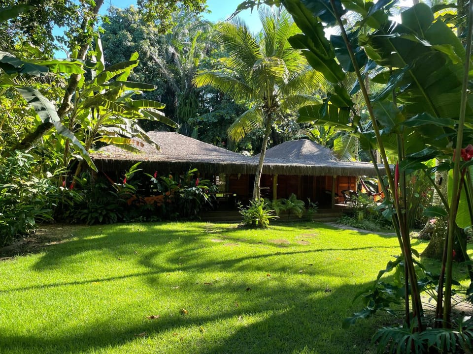 Property building, Garden, Garden, Garden view