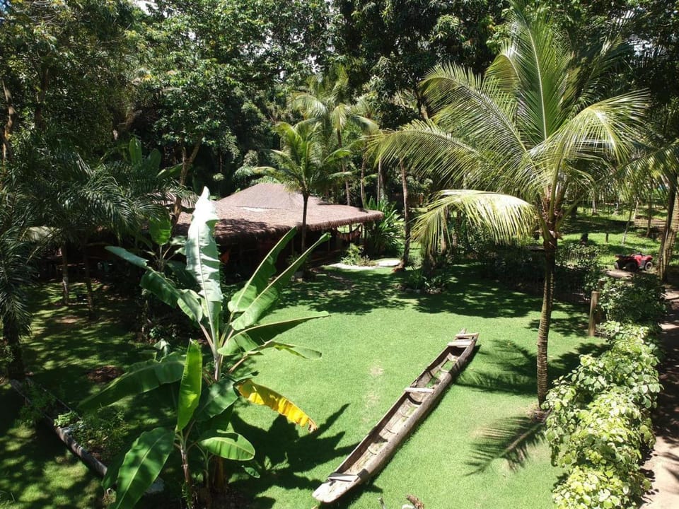 Garden, Garden, Garden view