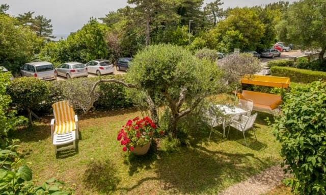 Natural landscape, Garden, Garden view