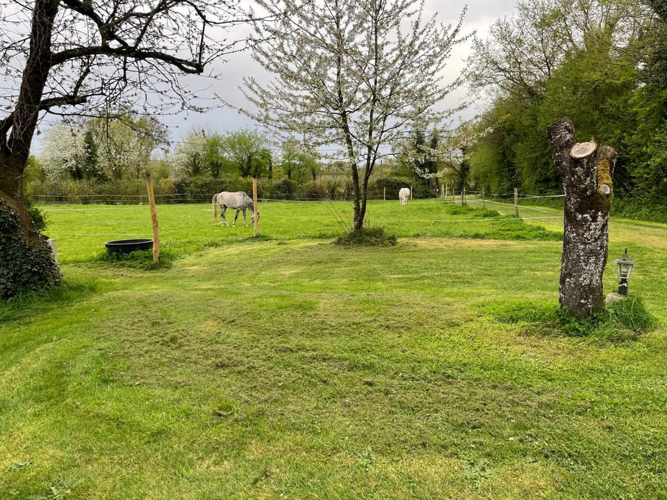 Garden, Garden view