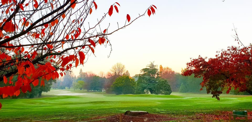 Golfcourse, View (from property/room)