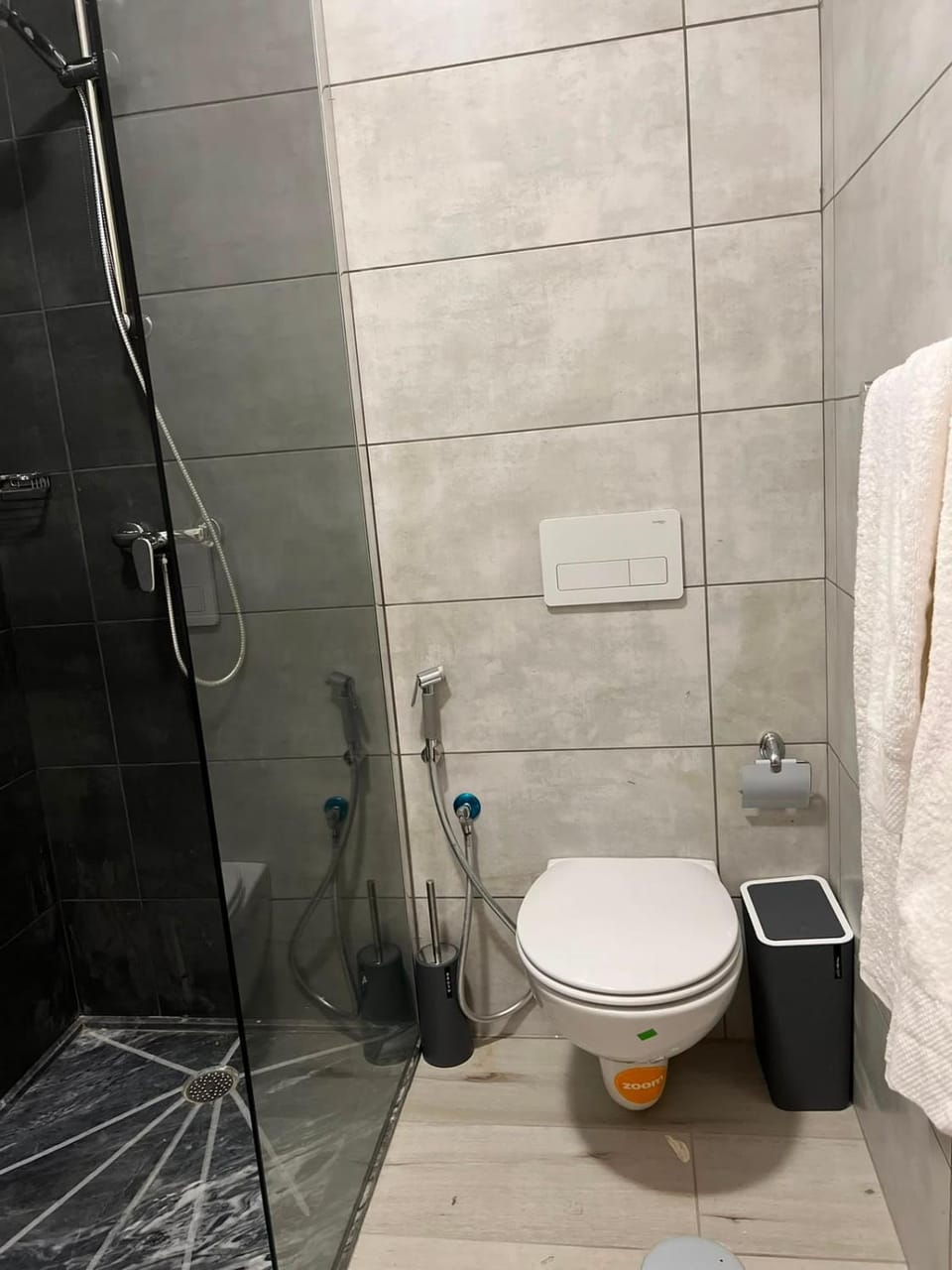 Shower, Toilet, Bathroom, towels