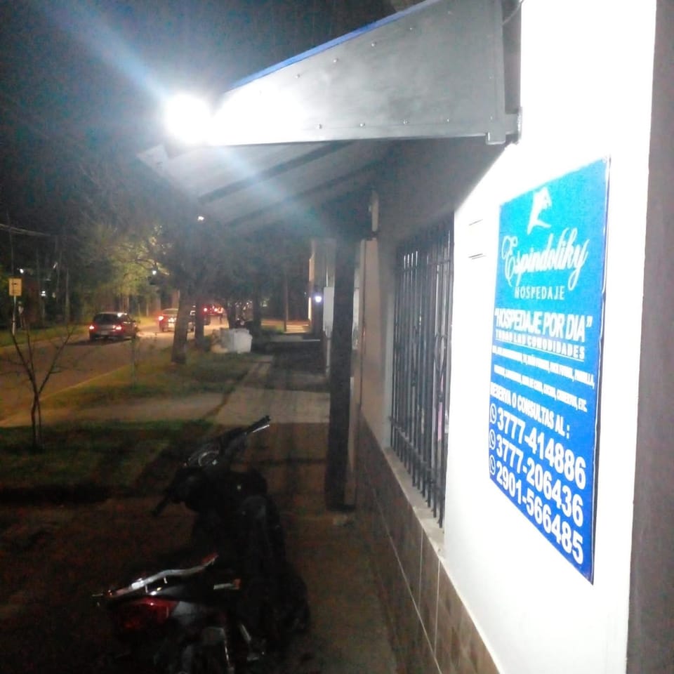 Night, Logo/Certificate/Sign