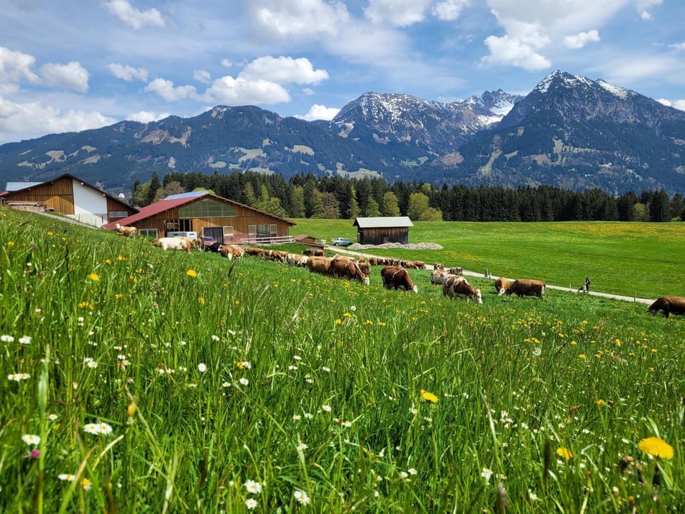 Spring, Day, Natural landscape, Mountain view