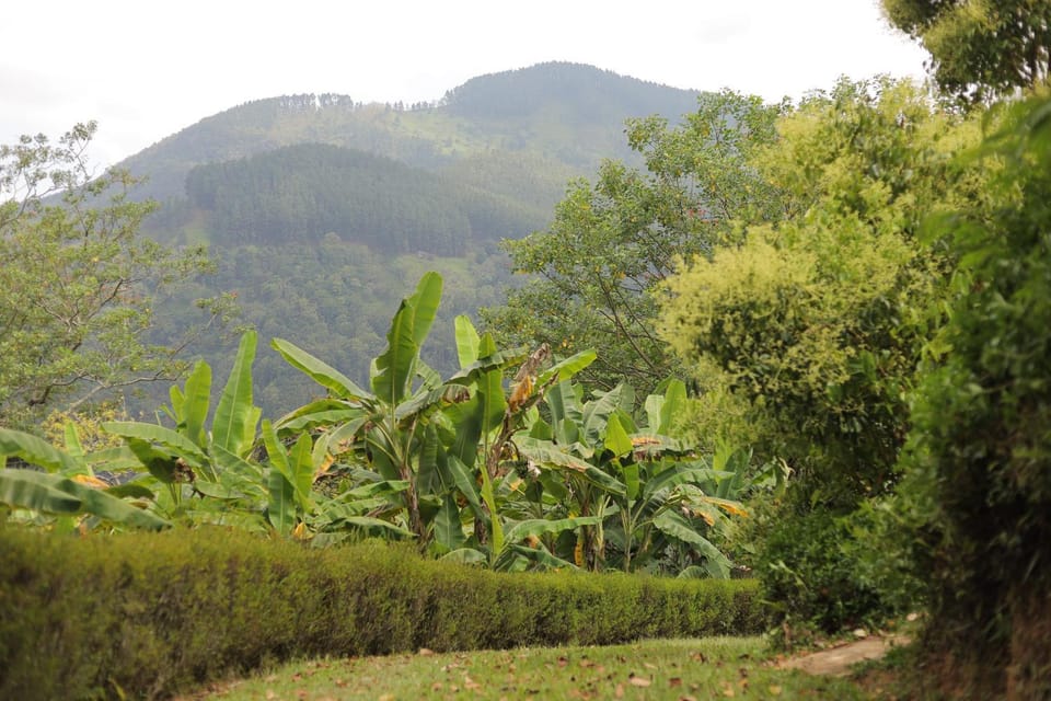Garden view, Mountain view