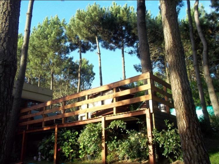 Natural landscape, Garden