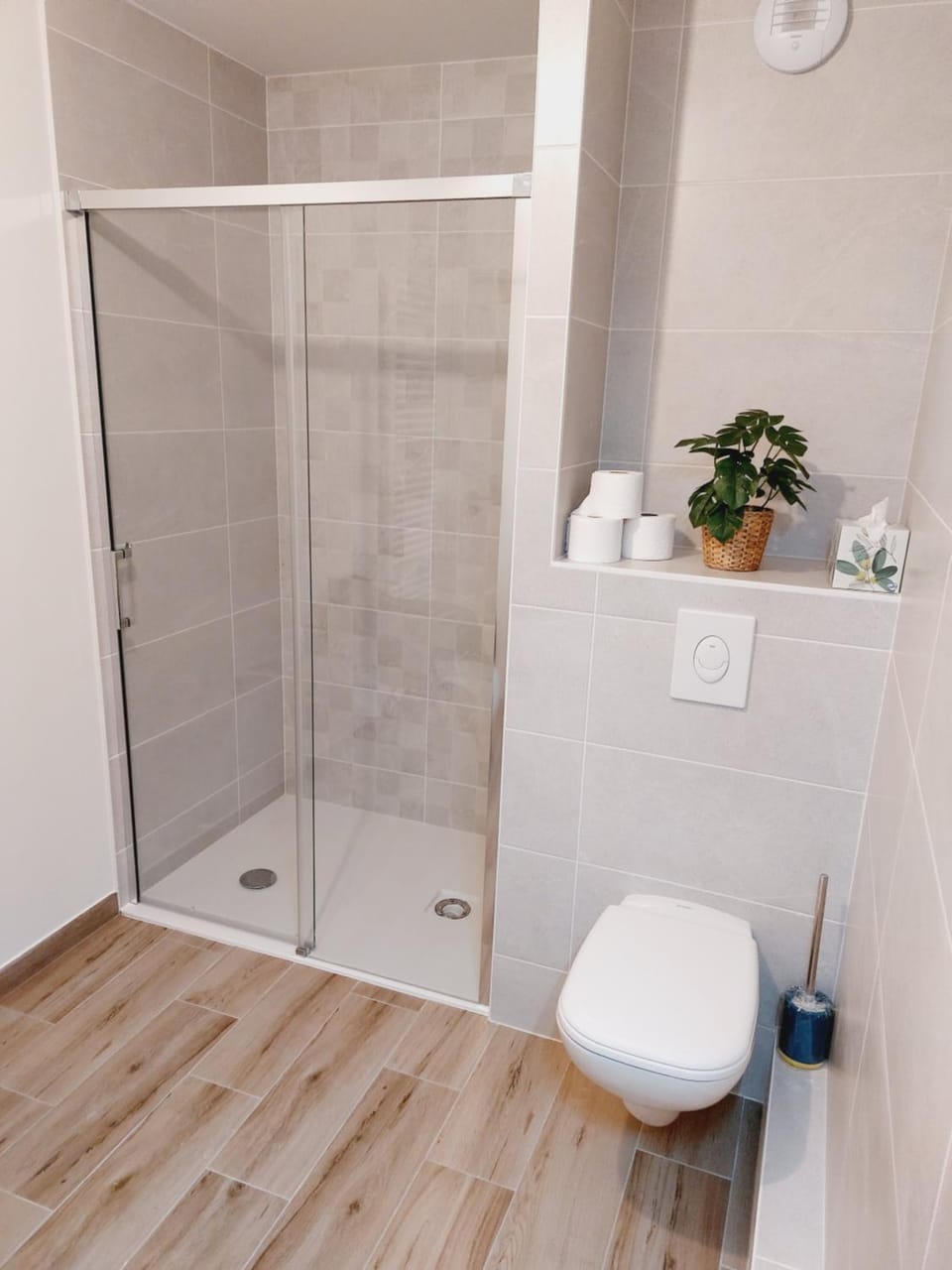 Shower, Toilet