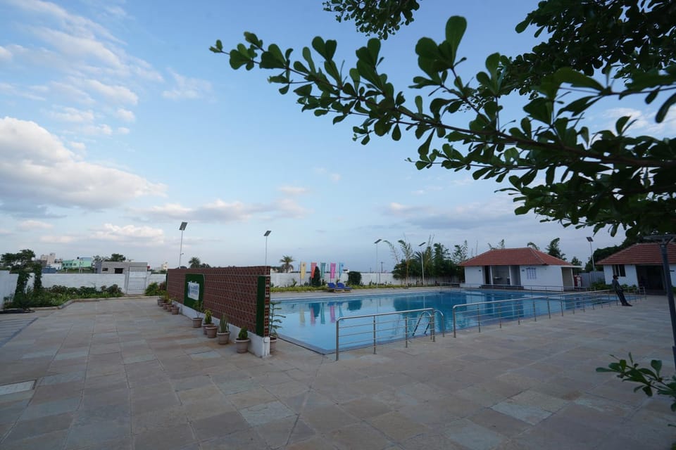 Day, Pool view, Swimming pool
