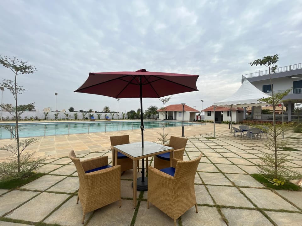 Pool view, sunbed