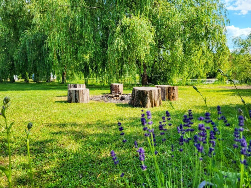 WczasyMazurskie - Domek całoroczny Piwonia Mazury z prywatną plażą House in Poland