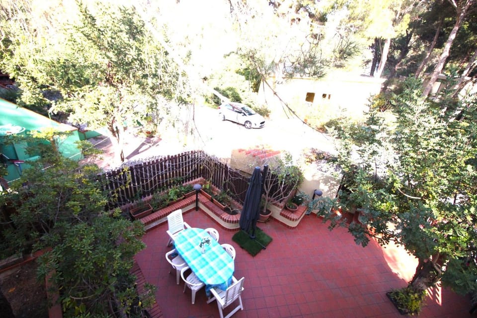 Garden view