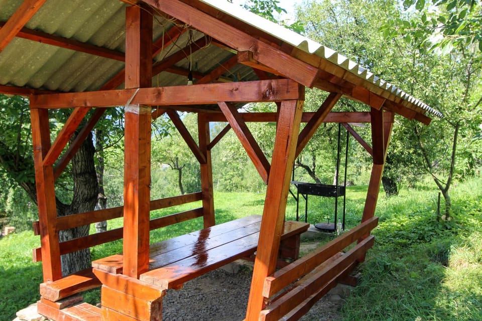Patio, Spring, Day, Natural landscape