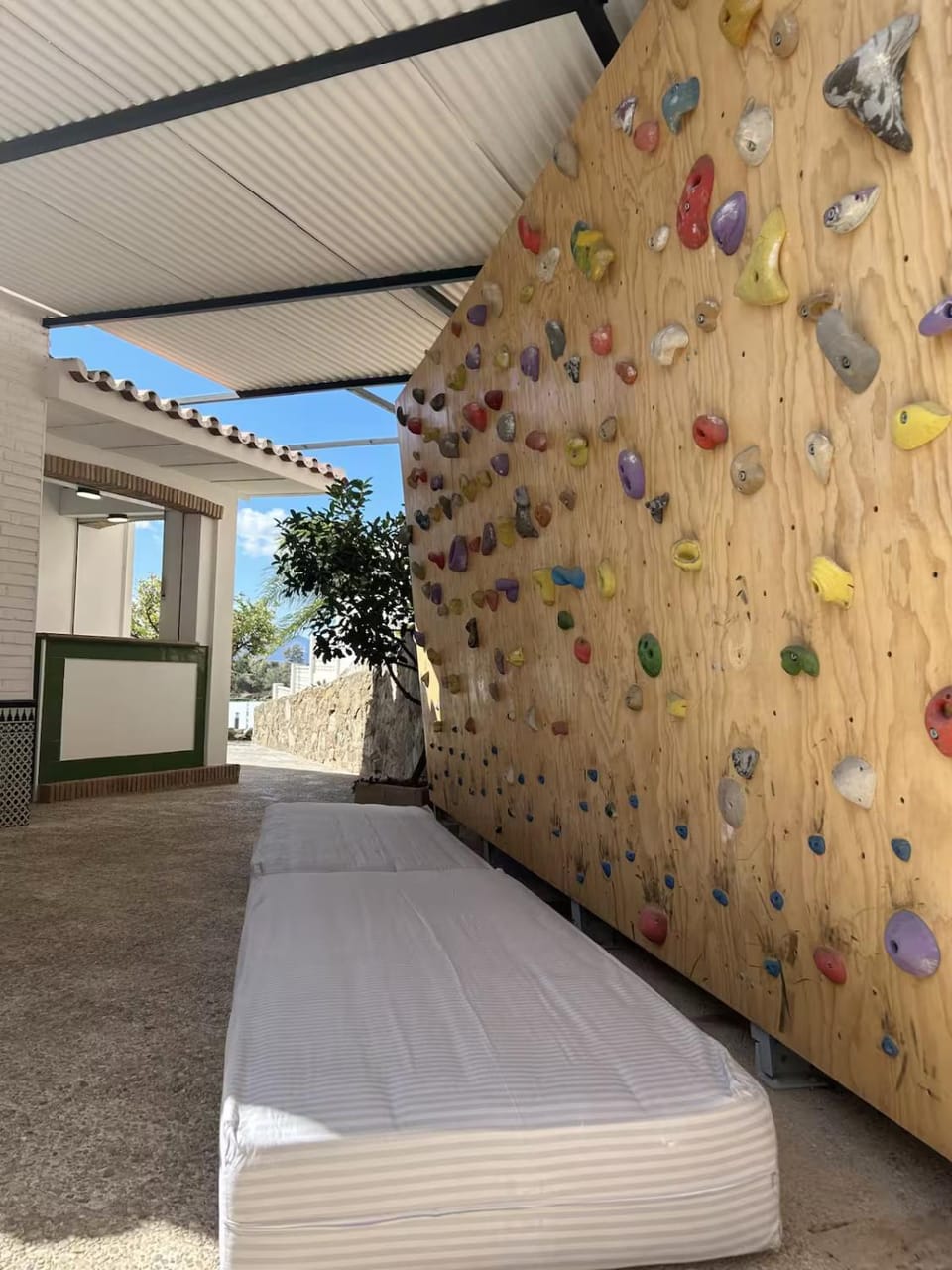 Day, Activities