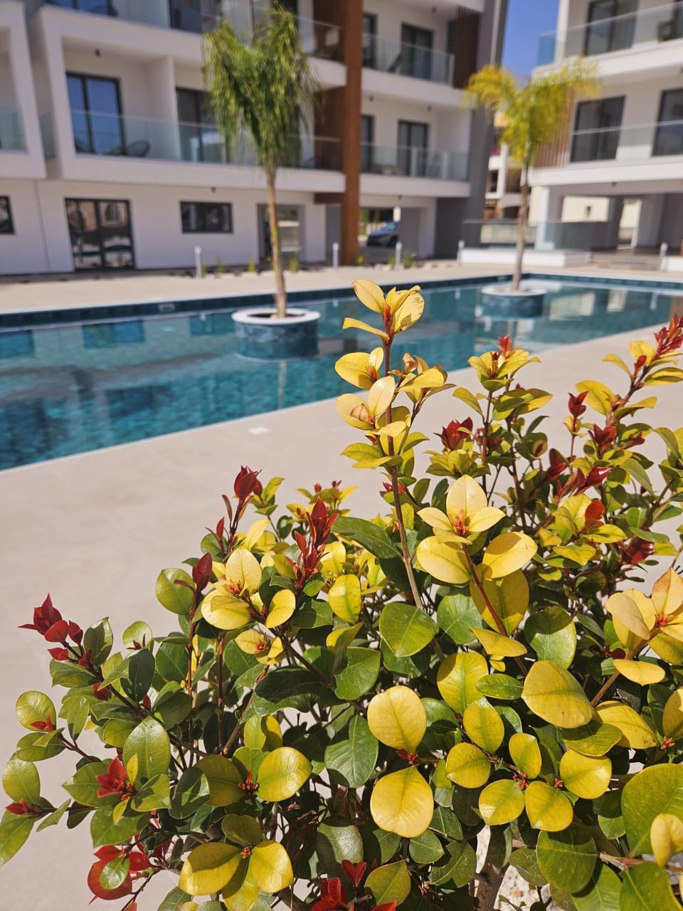 New, Modern Studio, Universal Residences Apartment in Paphos